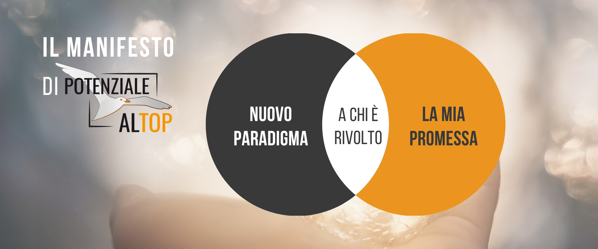 Manifesto Potenziale al TOP